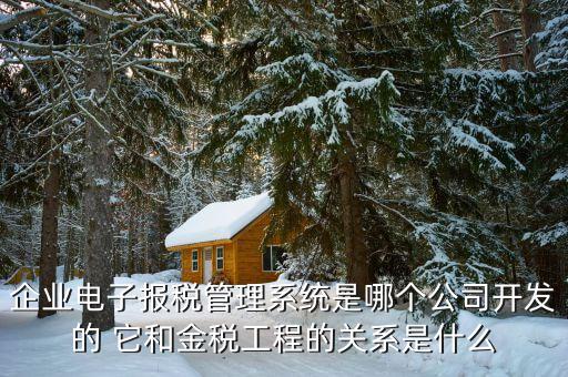 什么是網(wǎng)稅系統(tǒng)，企業(yè)電子報(bào)稅管理系統(tǒng)是哪個(gè)公司開(kāi)發(fā)的 它和金稅工程的關(guān)系是什么