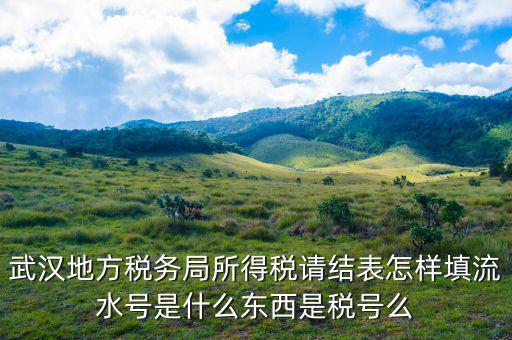地稅流水號是什么，納稅人流水號是什么