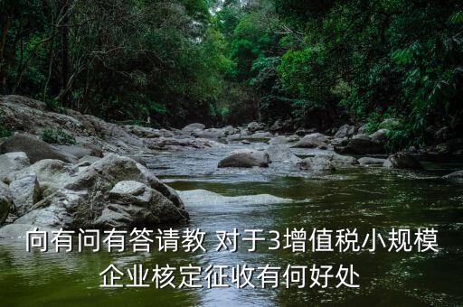 核定征收有什么好處，向有問有答請教 對于3增值稅小規(guī)模企業(yè)核定征收有何好處