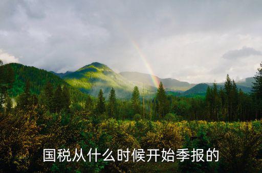 國稅什么時(shí)間申報(bào)，國稅從什么時(shí)候開始季報(bào)的