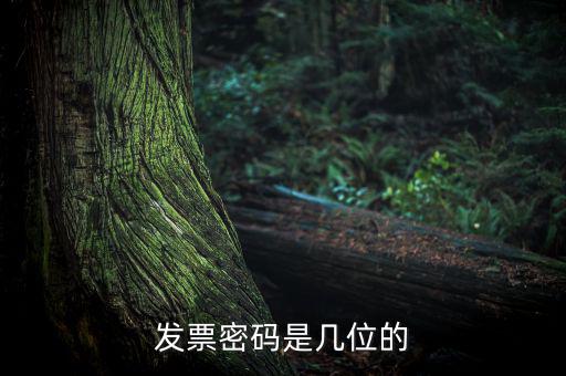 普通發(fā)票密碼是什么，國(guó)稅局發(fā)票軟件里用戶代碼和密碼是什么