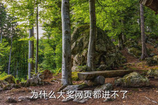 航天金穗網(wǎng)為什么進(jìn)不去網(wǎng)頁(yè)，WW3ZHONGCN這個(gè)網(wǎng)站怎么進(jìn)不去了呢