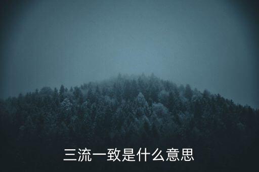 發(fā)票 流向一致是什么意思，發(fā)票四流一致是哪四流