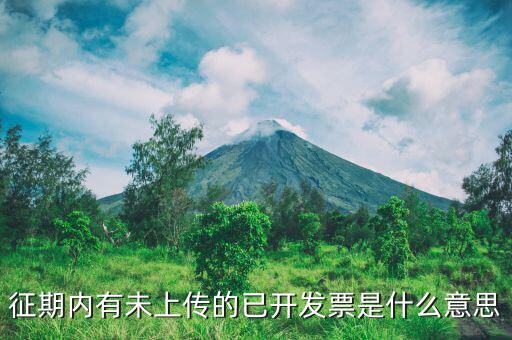 申報沒上傳是什么意思，我在財務申報時沒上傳第二天可以不傳嗎