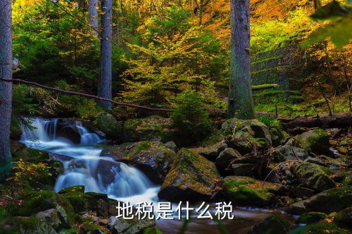 地稅專項(xiàng)收入是什么稅，地稅是什么稅