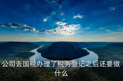 國(guó)稅辦完之后辦什么，公司去國(guó)稅辦理了稅務(wù)登記之后還要做什么