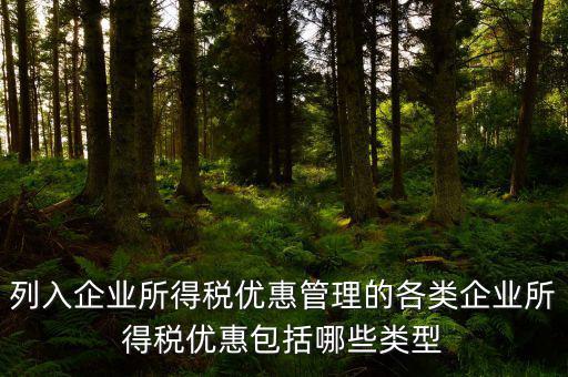 企業(yè)所得稅優(yōu)惠事項(xiàng)名稱指什么，享受企業(yè)所得稅優(yōu)惠申請(qǐng)表中稅收優(yōu)惠事項(xiàng)名稱怎么填