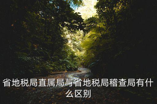 什么是地稅直屬局，國家稅務(wù)局直屬稅務(wù)分局是什么意思