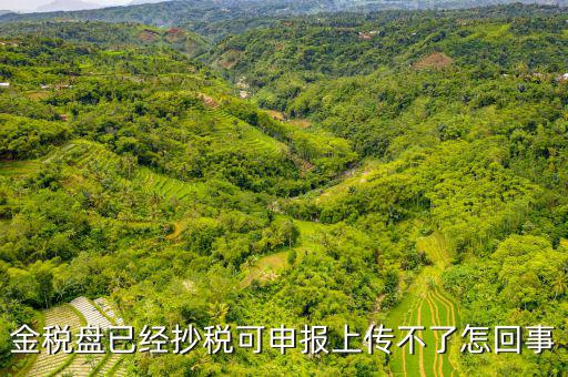 金稅申報發(fā)送不了是什么原因，金稅盤已經(jīng)抄稅可申報上傳不了怎回事