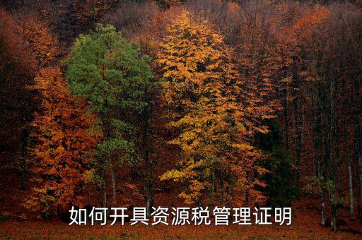資源稅乙種證明要什么資料，混凝土公司購買砂石需要開具資源稅乙種證明嗎