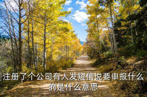 注冊(cè)了個(gè)公司有人發(fā)短信說要申報(bào)什么的是什么意思