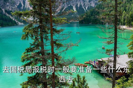 去國稅局交稅需要帶什么，去國稅局報(bào)稅時(shí)一般要準(zhǔn)備一些什么東西去
