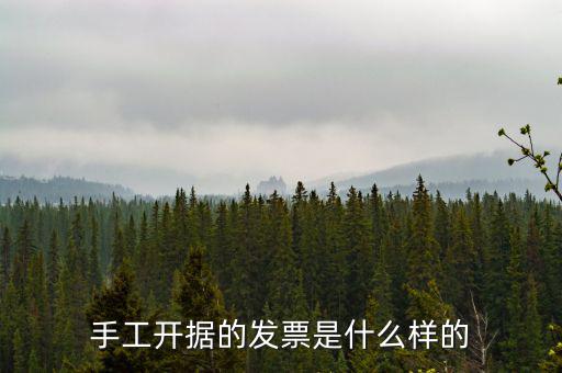手工開(kāi)據(jù)的發(fā)票是什么樣的