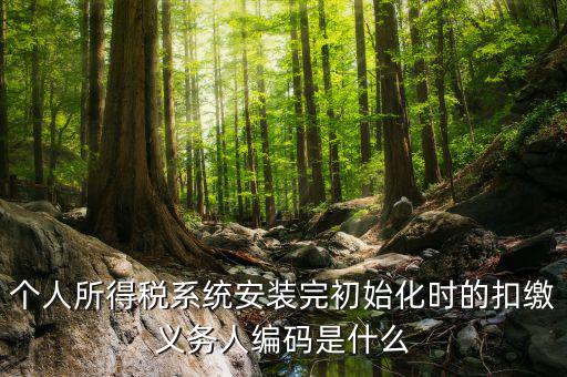 扣繳人義務(wù)編碼是什么，扣繳義務(wù)人編碼是什么啊