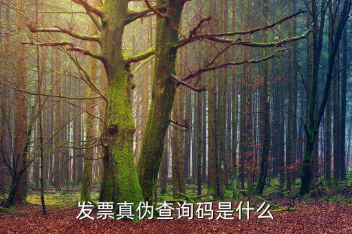 定額發(fā)票真?zhèn)尾樵兲柺鞘裁?，發(fā)票真?zhèn)尾樵兇a是什么