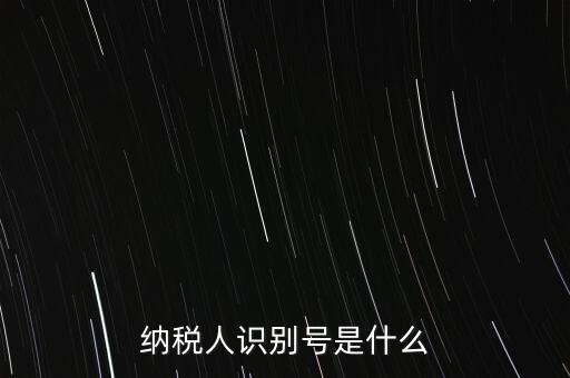 電子稅務(wù)局納稅人識別號是什么，納稅人識別號是什么