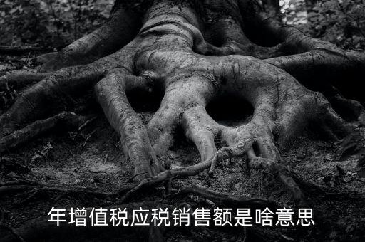 年增值稅應(yīng)稅銷(xiāo)售額是啥意思