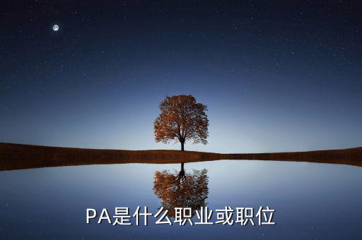 河南省國(guó)稅局陳紅偉什么職務(wù)，PA是什么職業(yè)或職位