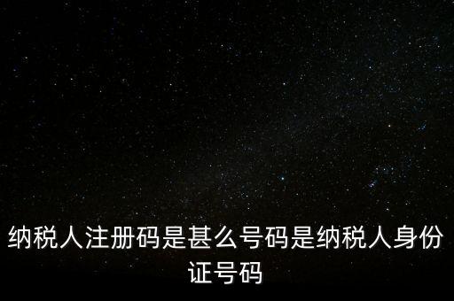浙江網(wǎng)上稅務(wù)局的注冊碼是什么意思，納稅人注冊碼是什么
