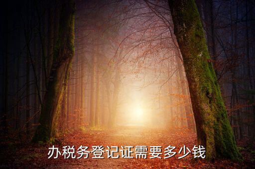 稅務(wù)局登記需要什么手續(xù)費，辦稅務(wù)登記證需要多少錢