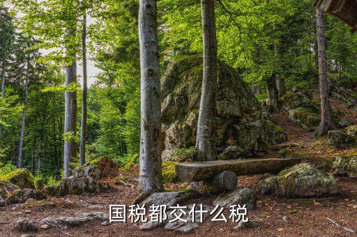 國稅征收什么稅種，國稅都交什么稅