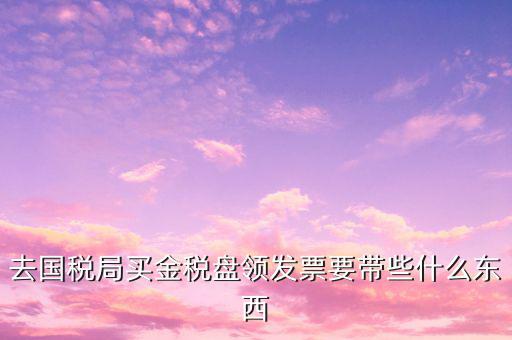 去國(guó)稅局買金稅盤(pán)領(lǐng)發(fā)票要帶些什么東西