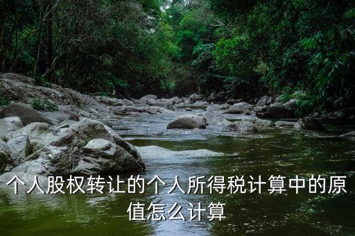 股權(quán)原值是什么，公司注冊(cè)資本是100萬(wàn)現(xiàn)在要轉(zhuǎn)讓股權(quán)那股權(quán)原值是多少股權(quán)轉(zhuǎn)