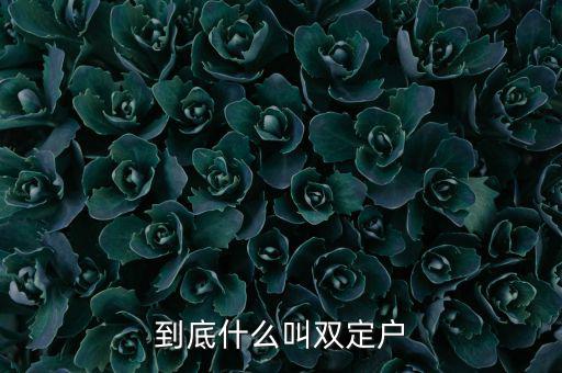 什么是雙定戶，雙翅一一翻雙眉什么雙眼什么