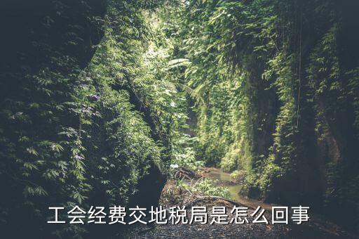 工會經(jīng)費交地稅局是怎么回事