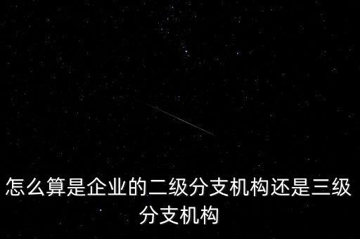 什么叫企業(yè)二級分支機構(gòu)，現(xiàn)在分公司要辦稅務(wù)登記證但是我想問一下二級分機構(gòu)指的是