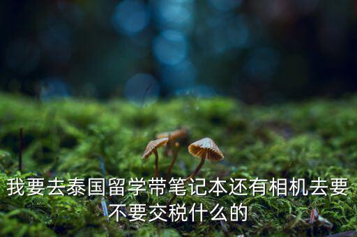 泰國什么人需要納稅，我要去泰國留學(xué)帶筆記本還有相機去要不要交稅什么的