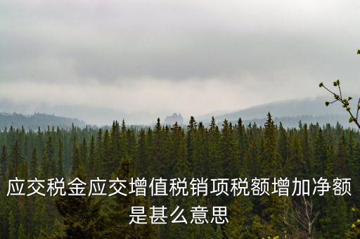 稅額增長(zhǎng)點(diǎn)是什么意思，應(yīng)交稅金應(yīng)交增值稅銷項(xiàng)稅額增加凈額是甚么意思