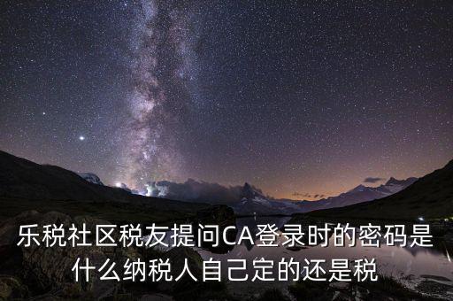 納稅人登路的密碼是什么意思，國(guó)稅第一次網(wǎng)上申報(bào)的登陸密碼是什么