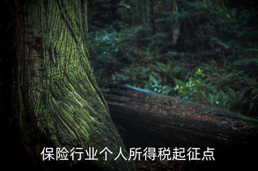 保險(xiǎn)行業(yè)入交什么稅，保險(xiǎn)行業(yè)個(gè)人所得稅起征點(diǎn)