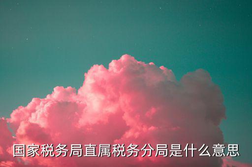 征管分局什么意思，國家稅務局直屬稅務分局是什么意思