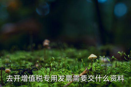 開專票需要對方什么資料，開具增值稅專用發(fā)票需要購買方提交什么資料稅屋
