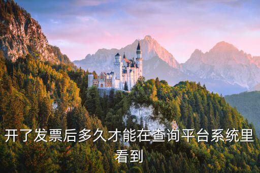 勾選平臺什么時(shí)候可以查到發(fā)票，已經(jīng)開具的專用發(fā)票多久才能在勾選平臺中查到
