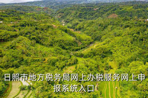 日照報稅的網(wǎng)址是什么意思，網(wǎng)上報稅在哪個網(wǎng)站