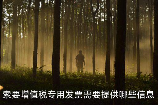 專(zhuān)用發(fā)票需要什么信息，現(xiàn)在開(kāi)取增值稅專(zhuān)用發(fā)票需要什么資料