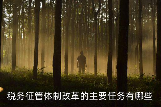 稅務(wù)系統(tǒng)的業(yè)務(wù)改革都有什么，稅務(wù)征管體制改革的主要任務(wù)有哪些