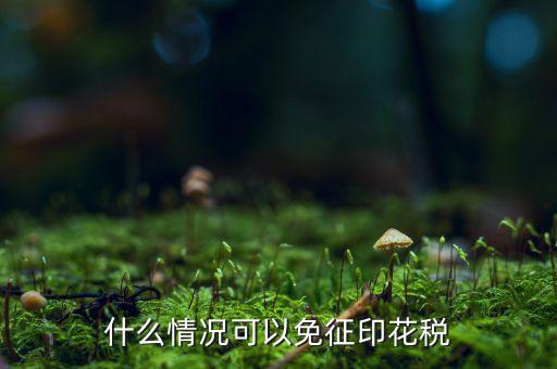 印花稅免稅是什么政策規(guī)定，什么情況可以免征印花稅