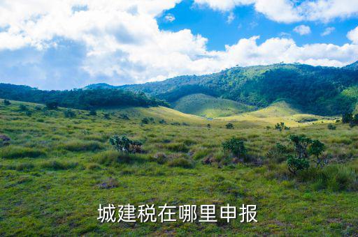地稅城市維護(hù)建設(shè)稅按什么申報(bào)，城建稅申報(bào)