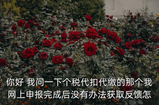 你好 我問一下個稅代扣代繳的那個我網上申報完成后沒有辦法獲取反饋怎