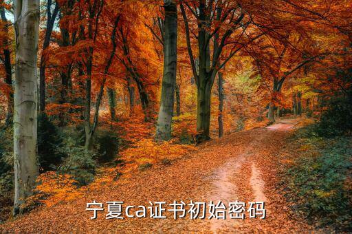 ca的默認(rèn)密碼是什么意思，ca口令是什么