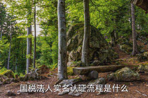 稅務實名認證需要什么，在國稅局辦理實名認證要準備哪些資料