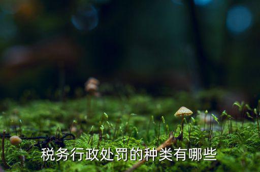 涉稅行政處罰包括什么，什么叫稅務行政處罰當事人