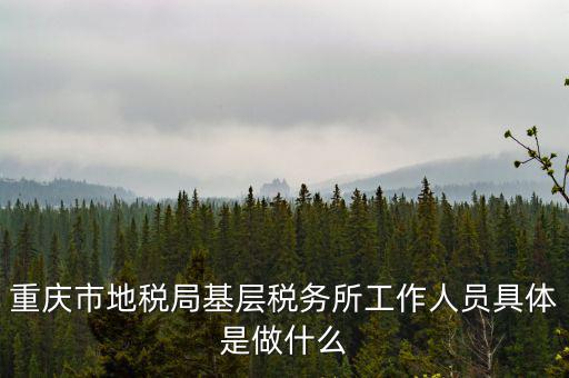 稅務(wù)局什么工作人員，請(qǐng)問(wèn)地方稅務(wù)局具體做哪些工作