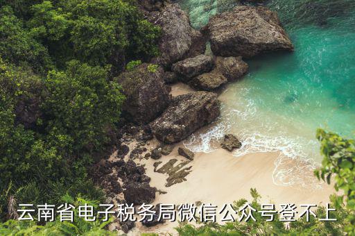 為什么電子稅務(wù)登錄不上，云南省電子稅務(wù)局微信公眾號(hào)登不上