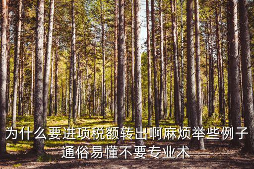 為什么要進項稅額轉(zhuǎn)出，為什么要進項稅額轉(zhuǎn)出啊麻煩舉些例子通俗易懂不要專業(yè)術(shù)
