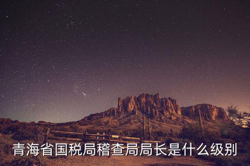 青海國稅局局長叫什么，詢問09年國稅和青海省地稅報(bào)考公務(wù)員時(shí)間